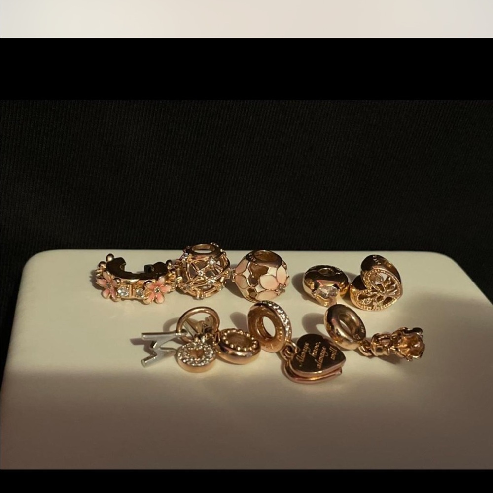 -READ DESCRIPTION-pandora Rose gold over 925 charms